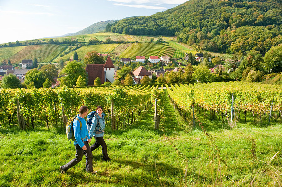 Wanderer bei Leinsweiler auf dem Prädikatsweg Pfälzer Weinsteig