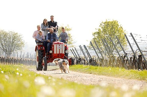 Weingut Gries, Traktor