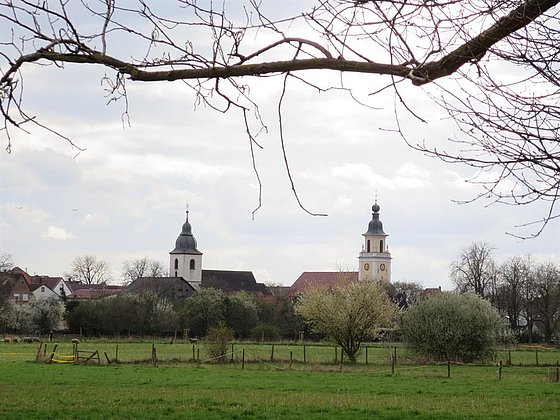 Queichheim Kirchen