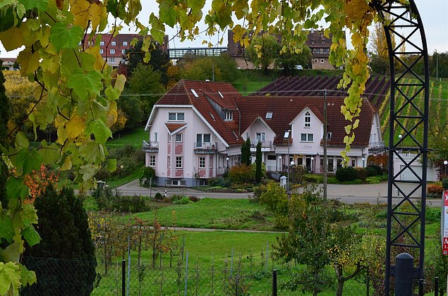 Herbstzeit in Leinsweiler