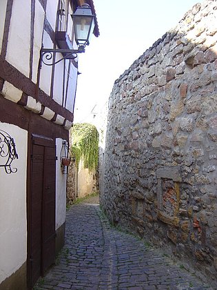 Freinsheim - Stadtmauer Bild 4