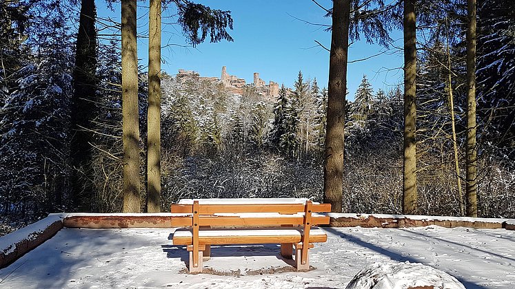 Barrierefrei Burg Alt-Dahn Blick im Winter