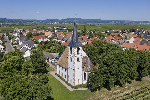 Friedelsheim