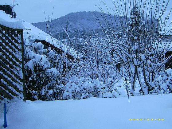 Winter 2011/12