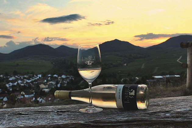 Wein-Landschaft-Pfalz