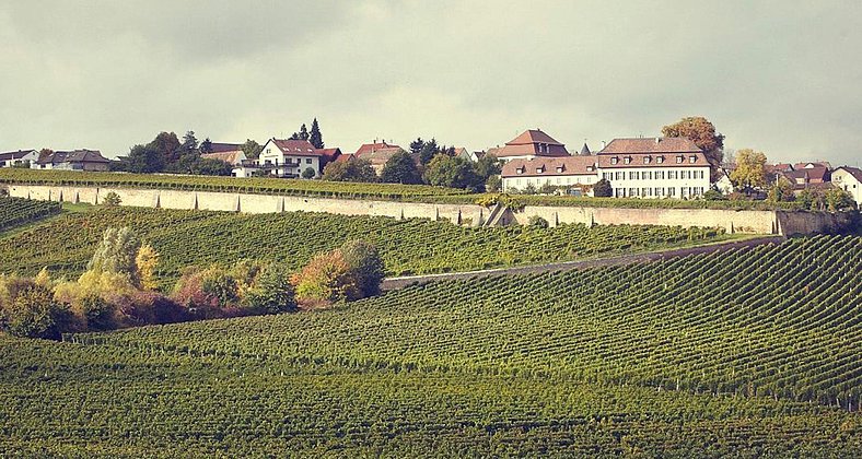 Weingut Schumacher - Ansicht von Süden