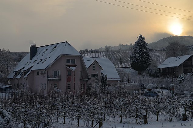 Winterliches Castell -Leinsweiler