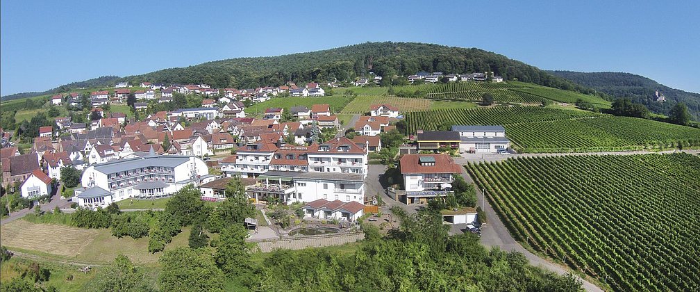 Südpfalz Terrassen 1