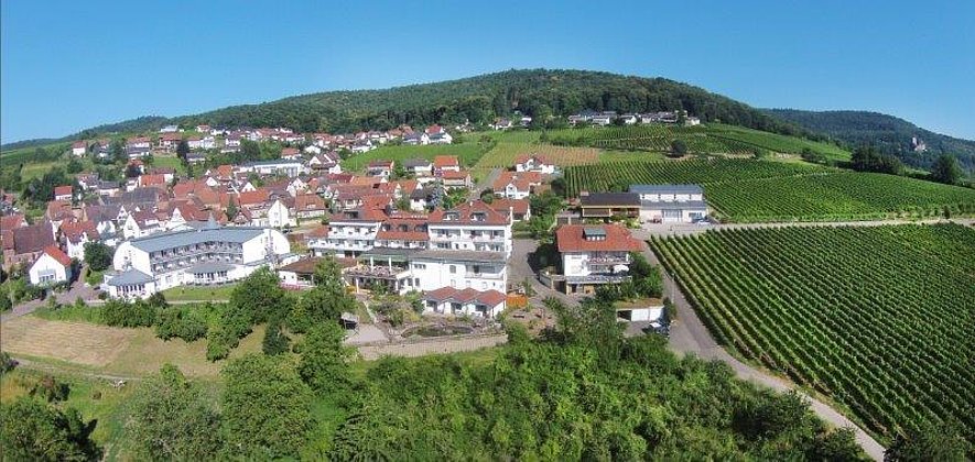 Südpfalz Terrassen von Oben