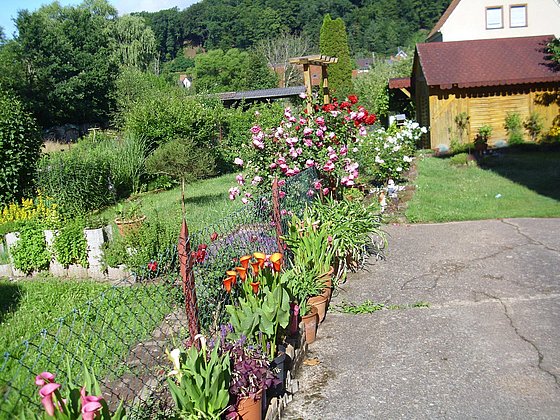 Garten (1)