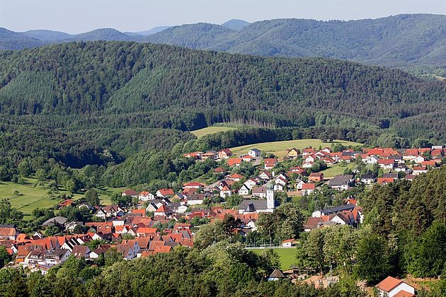 Blick vom Löffelsberg auf Busenberg