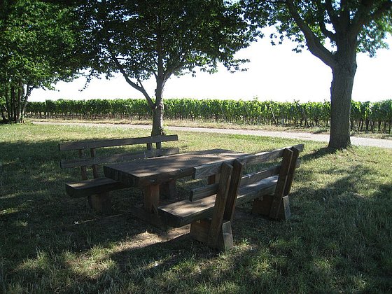Picknickplatz Biblischer Weinpfad