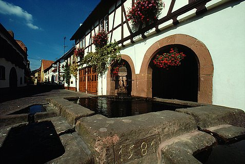 Leinsweiler
