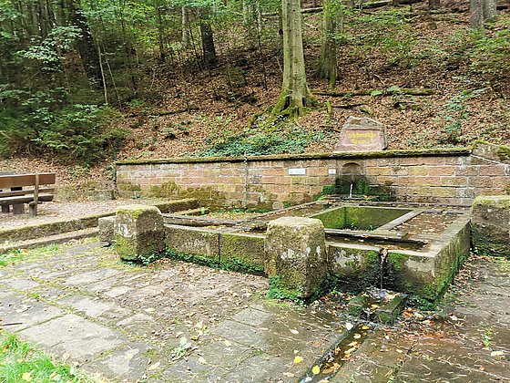 Schelmenteichbrunnen - Esthal Brunnenweg
